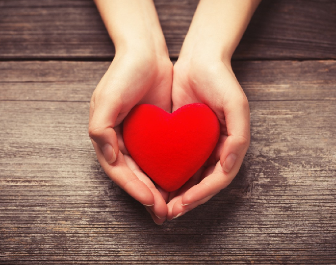 Hands holding a red heart symbol